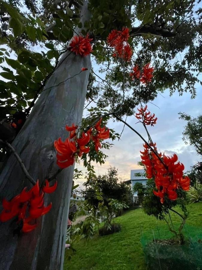 Tip House Villa Khao Kho Exterior photo